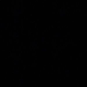 Meet your Posher, Jared